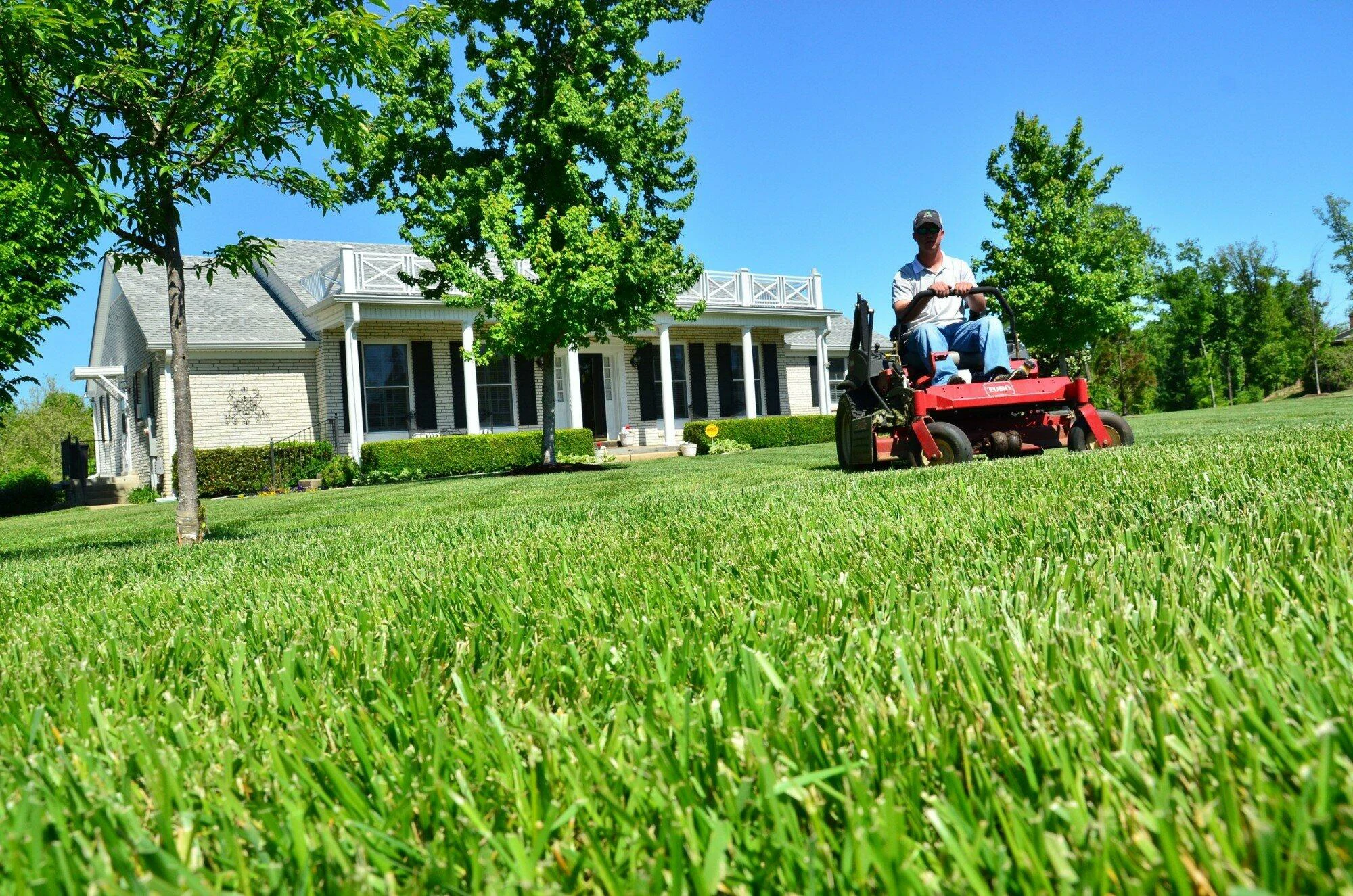 Benefits of Hiring an Expert Lawn Care Service for Busy Homeowners