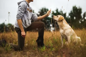 The 8 Powers of Positive Reinforcement in Aggressive Dog Rehabilitation